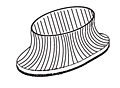 Inner Collar